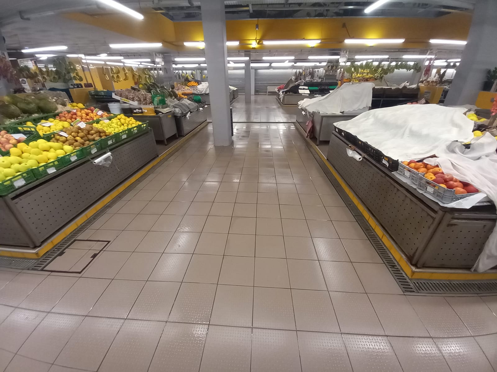 Pavimento cerâmico claro limpo entre bancas de fruta no Mercado Municipal da Póvoa de Varzim.