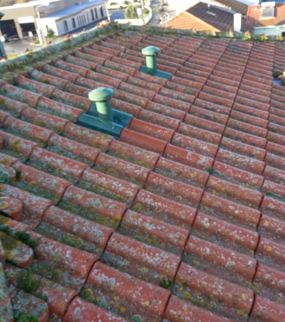 Telhado de moradia com telhas cobertas de musgo e manchas escuras.