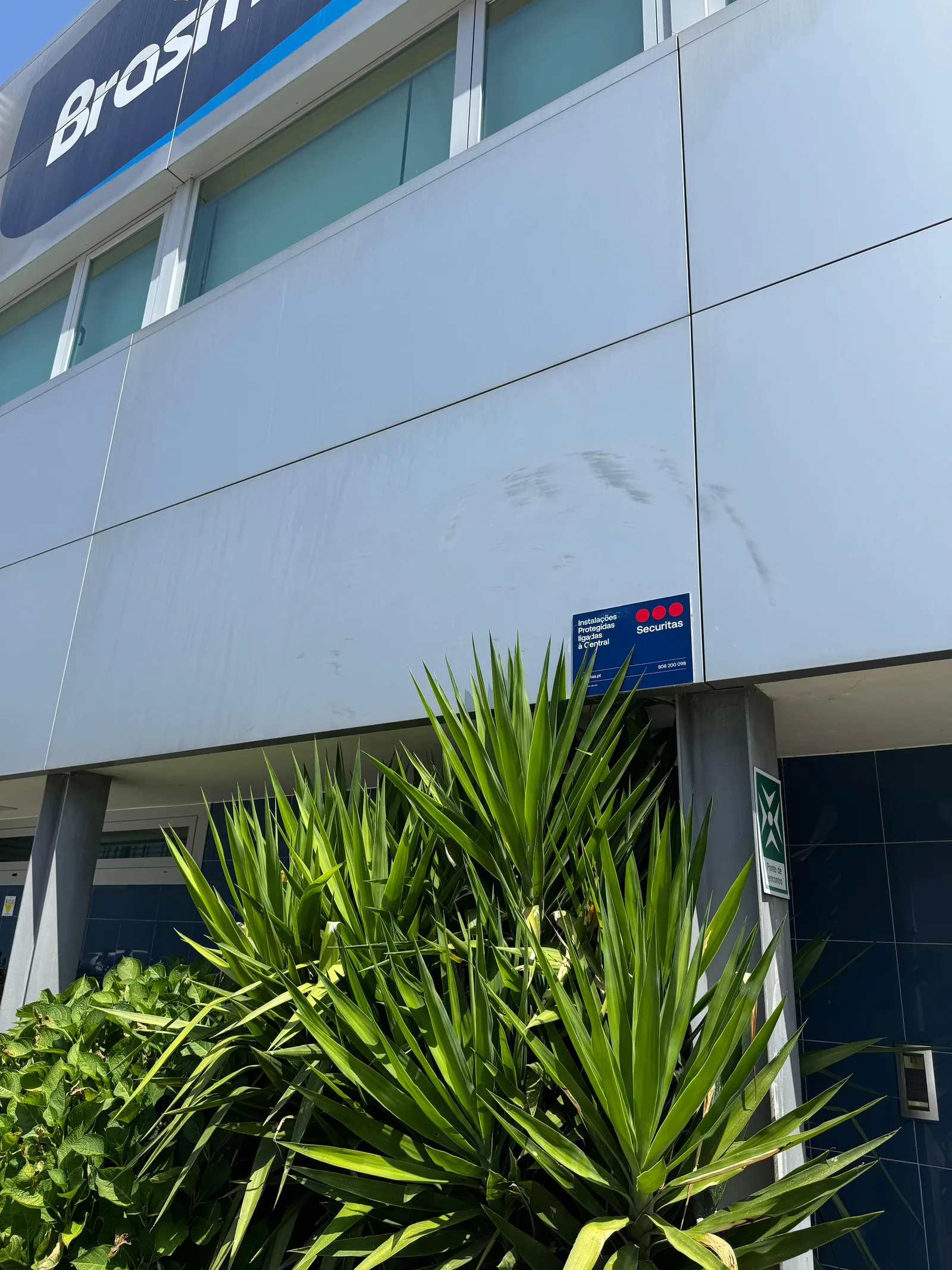 Painéis compósitos da Brasmar em Vila Nova de Famalicão com manchas, placa da Securitas e vegetação