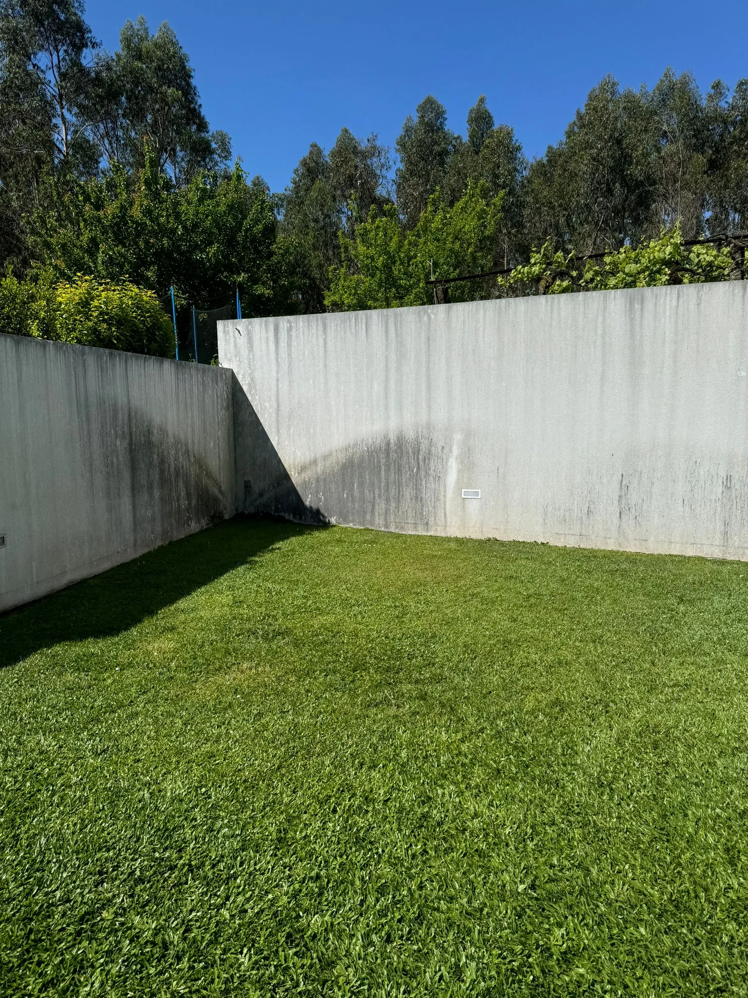 Muro do fundo de uma moradia em Brufe com escorrências negras, antes da lavagem