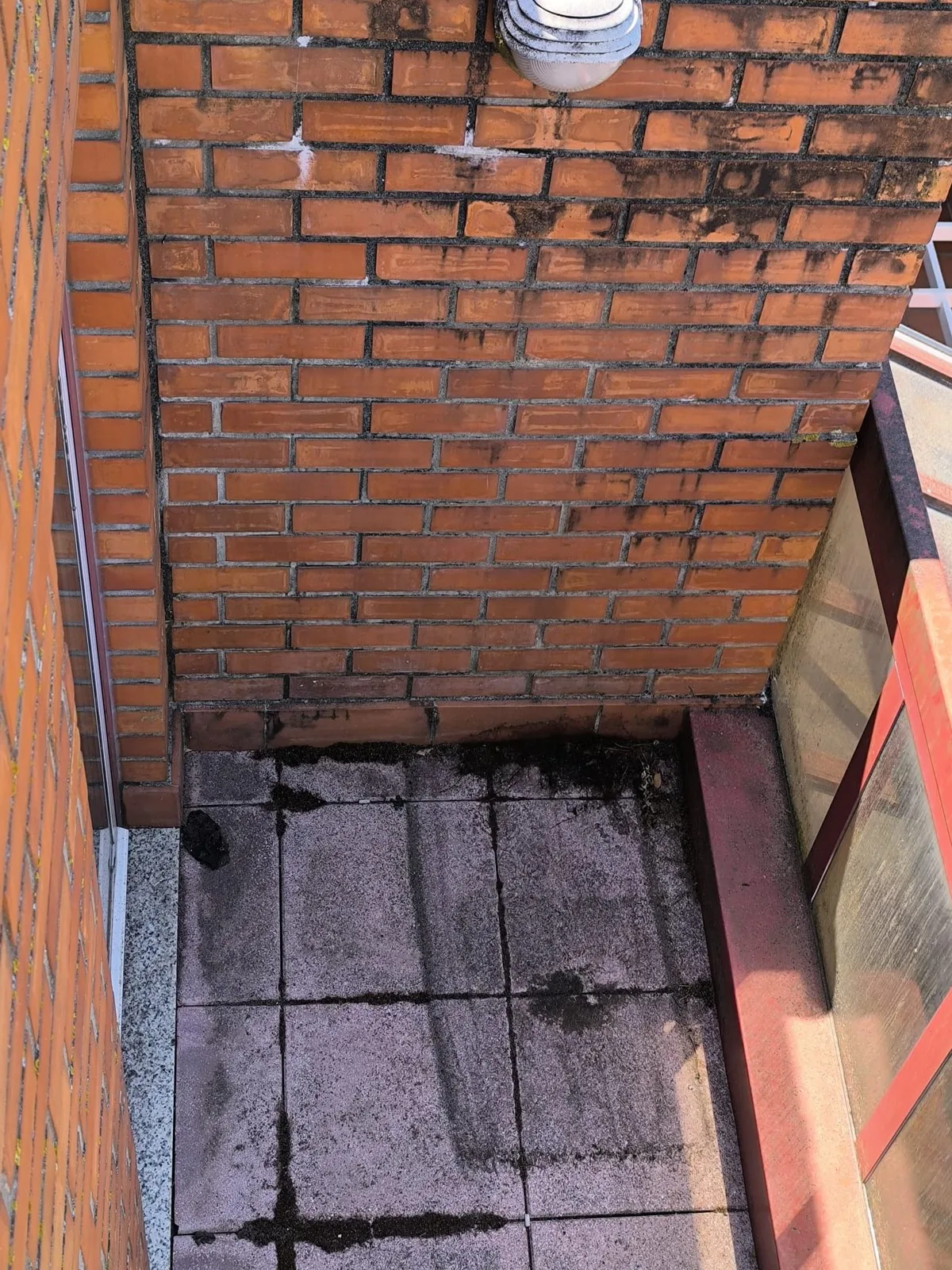 Muro de tijolo face à vista do saguão de um condomínio em Viana do Castelo, com manchas escuras, antes da lavagem com SoftWash da AREALIMPA