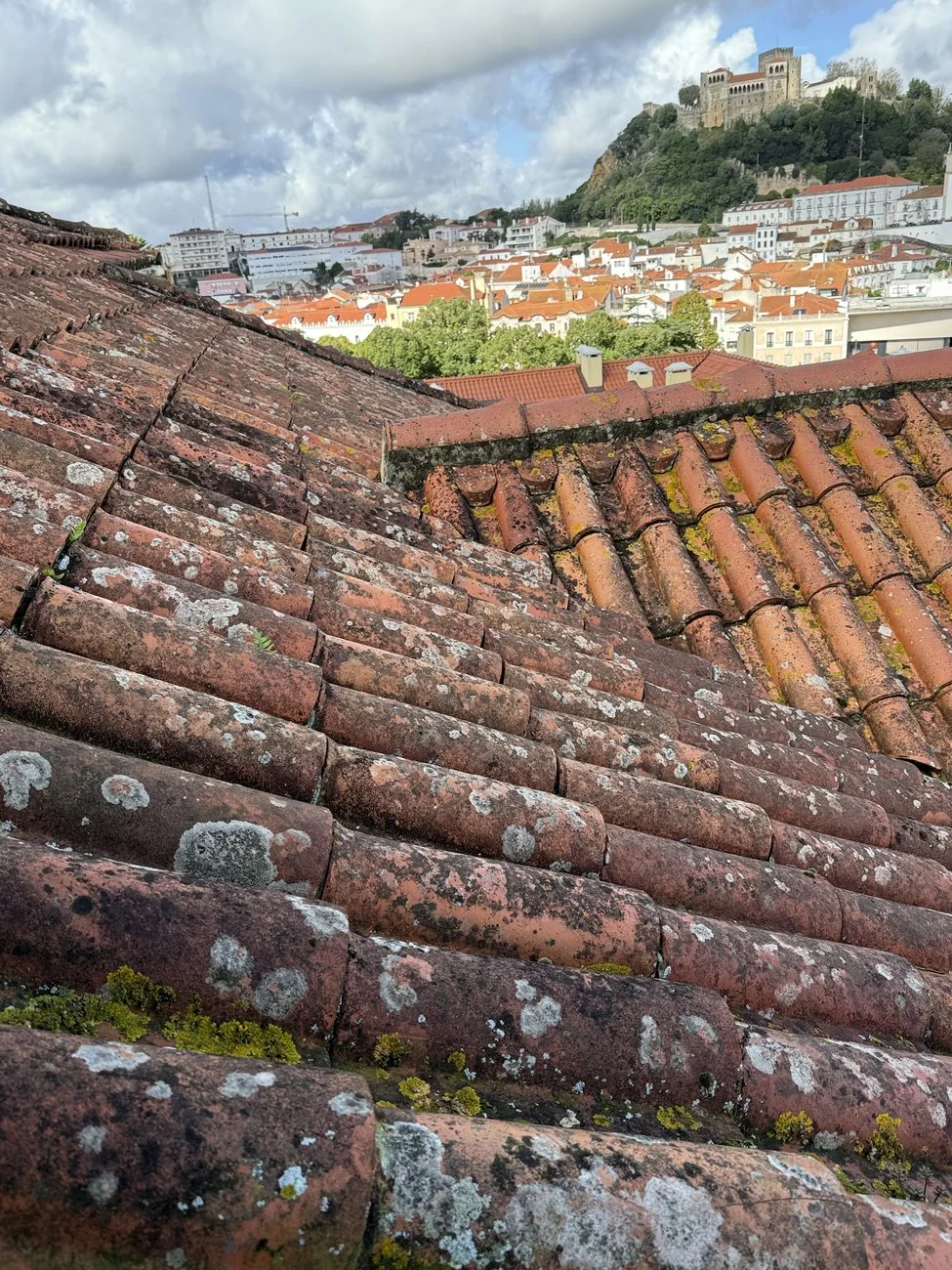 Pormenor de telhas cobertas de líquenes e musgo no telhado da Santa Casa de Leiria, com o castelo ao fundo