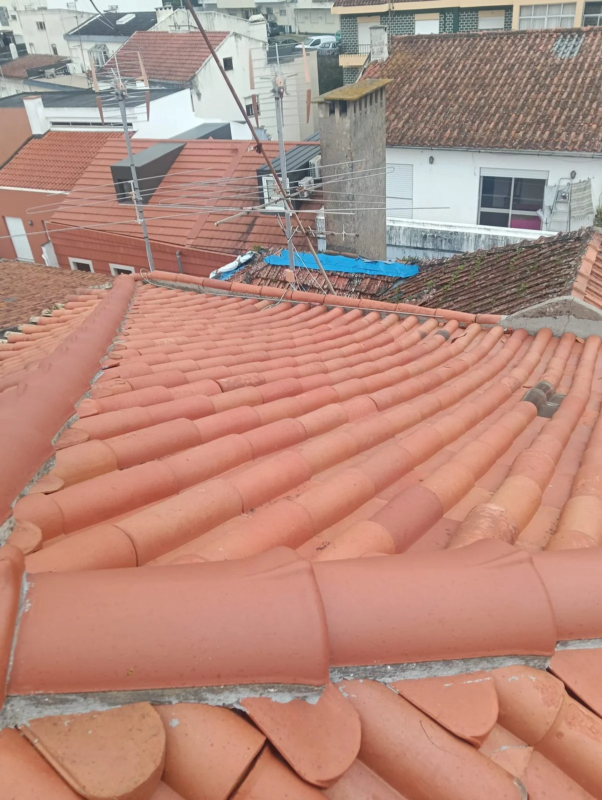 Pormenor de telhas e cumeeira limpas no telhado da Santa Casa de Leiria depois da lavagem SoftWash