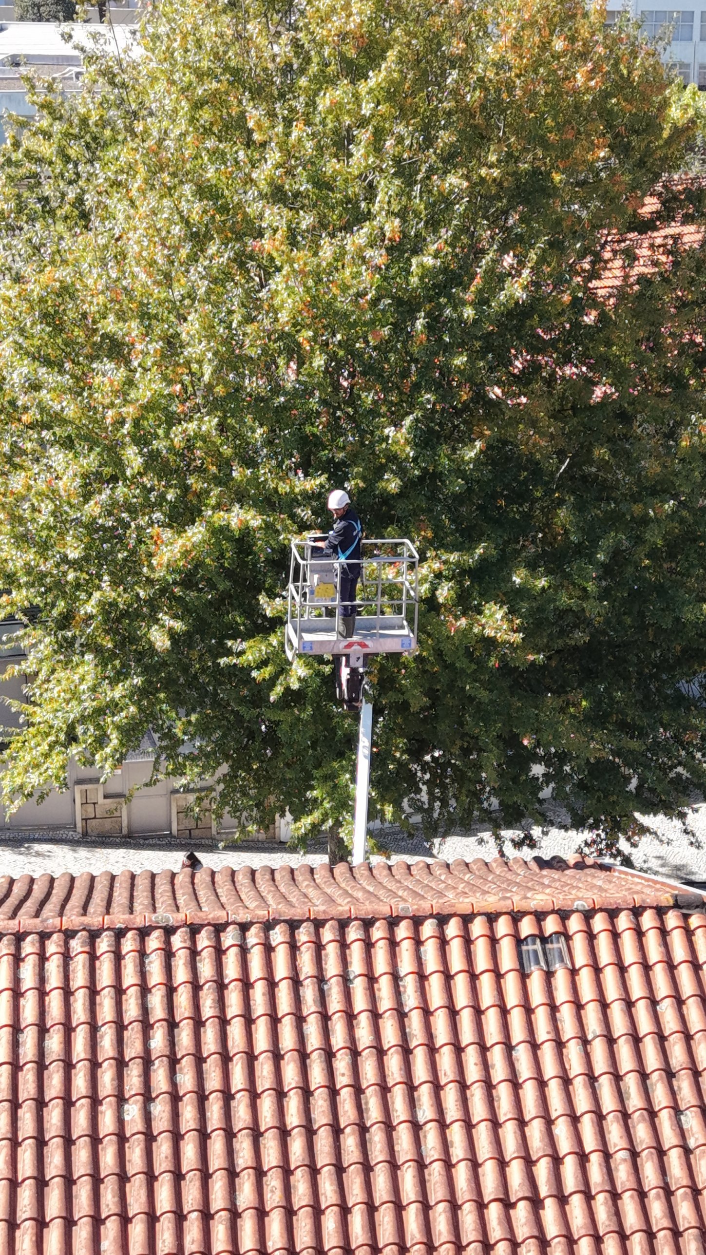 Operador com capacete no cesto da plataforma elevatória entre as árvores, a lavar o telhado em Braga