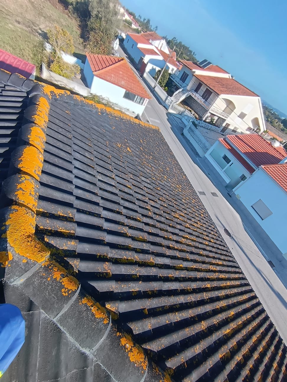 Telhado de cimento preto em Lavos com cumeeira coberta de líquenes laranja antes da lavagem