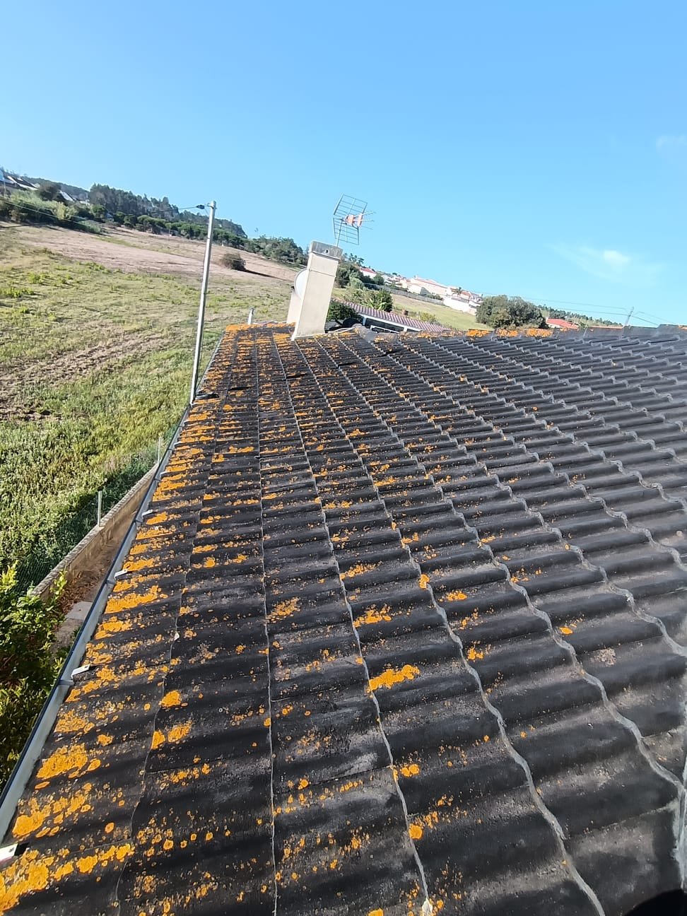 Água do telhado junto à chaminé em Lavos com líquenes laranja espalhados
