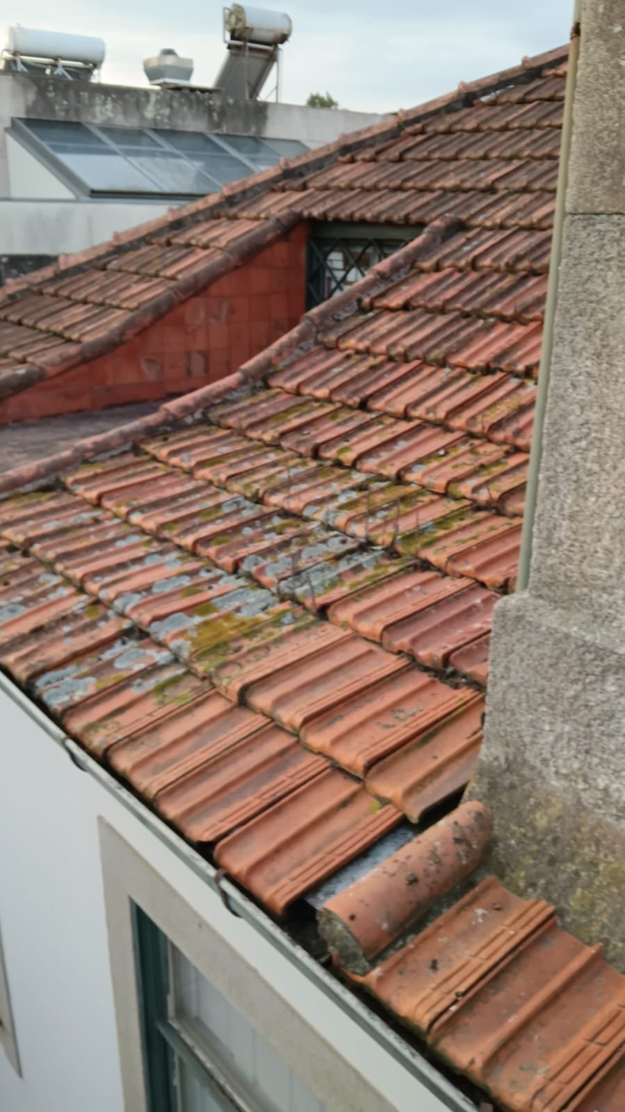 Telhas com líquenes junto à caleira em Leça da Palmeira