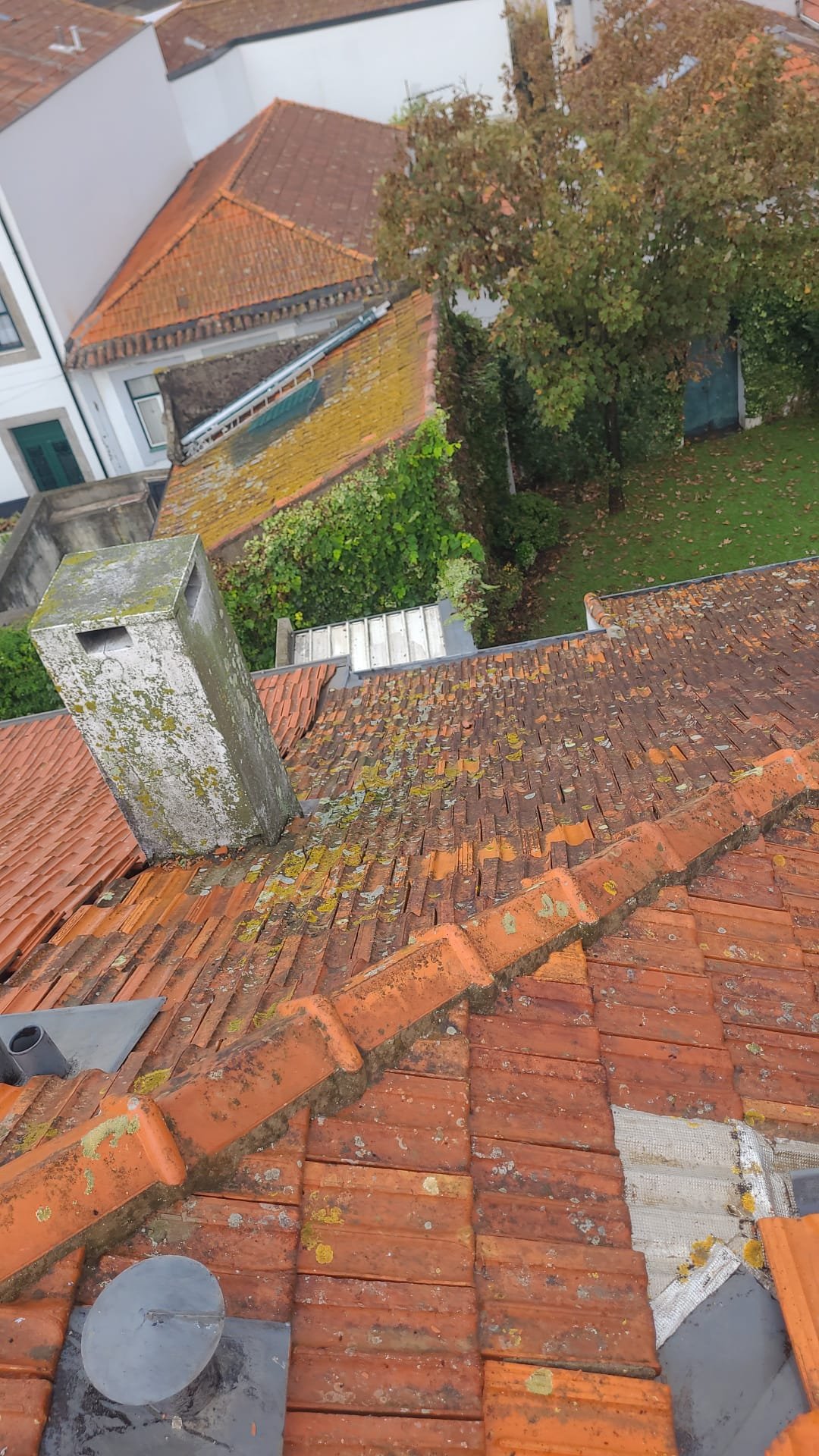 Chaminé e telhado cobertos de líquenes em Leça da Palmeira antes da intervenção