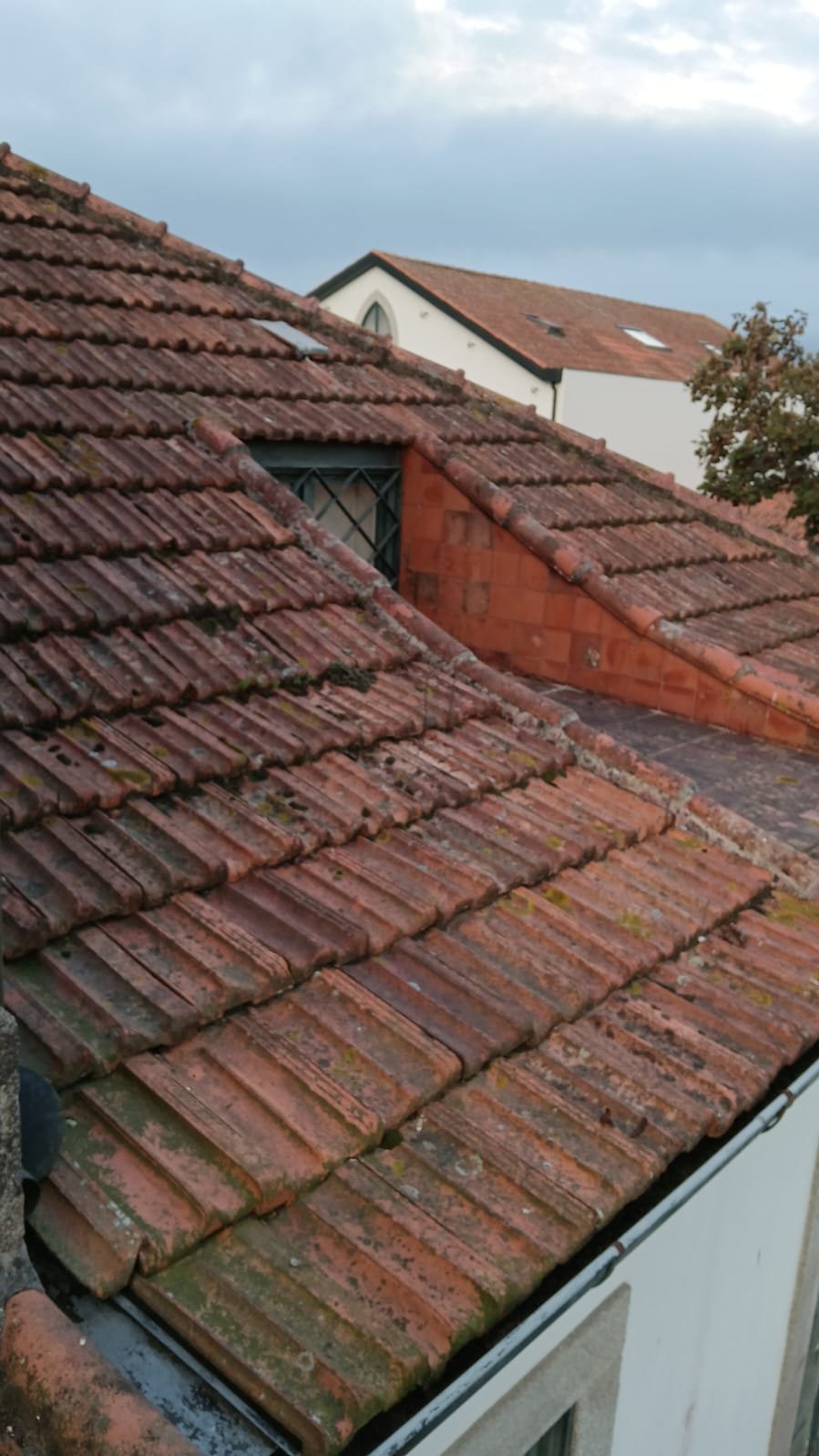 Trapeira e telhas com musgo em telhado de Leça da Palmeira