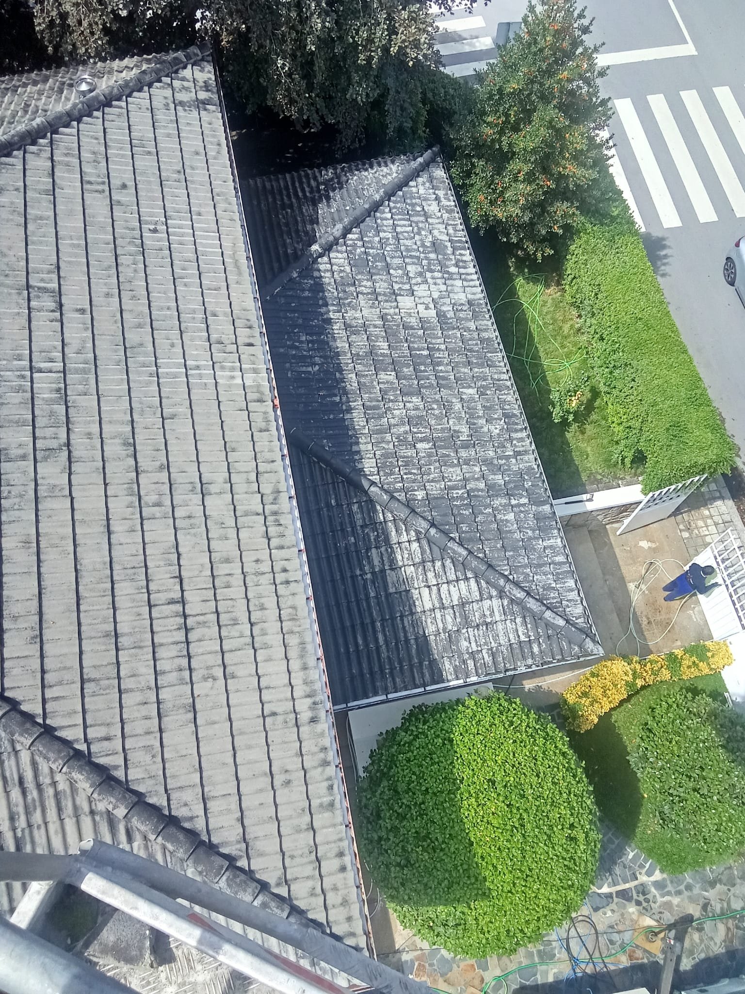 Telhado do anexo no Porto depois da lavagem com SoftWash, com manchas claras onde estavam os líquenes