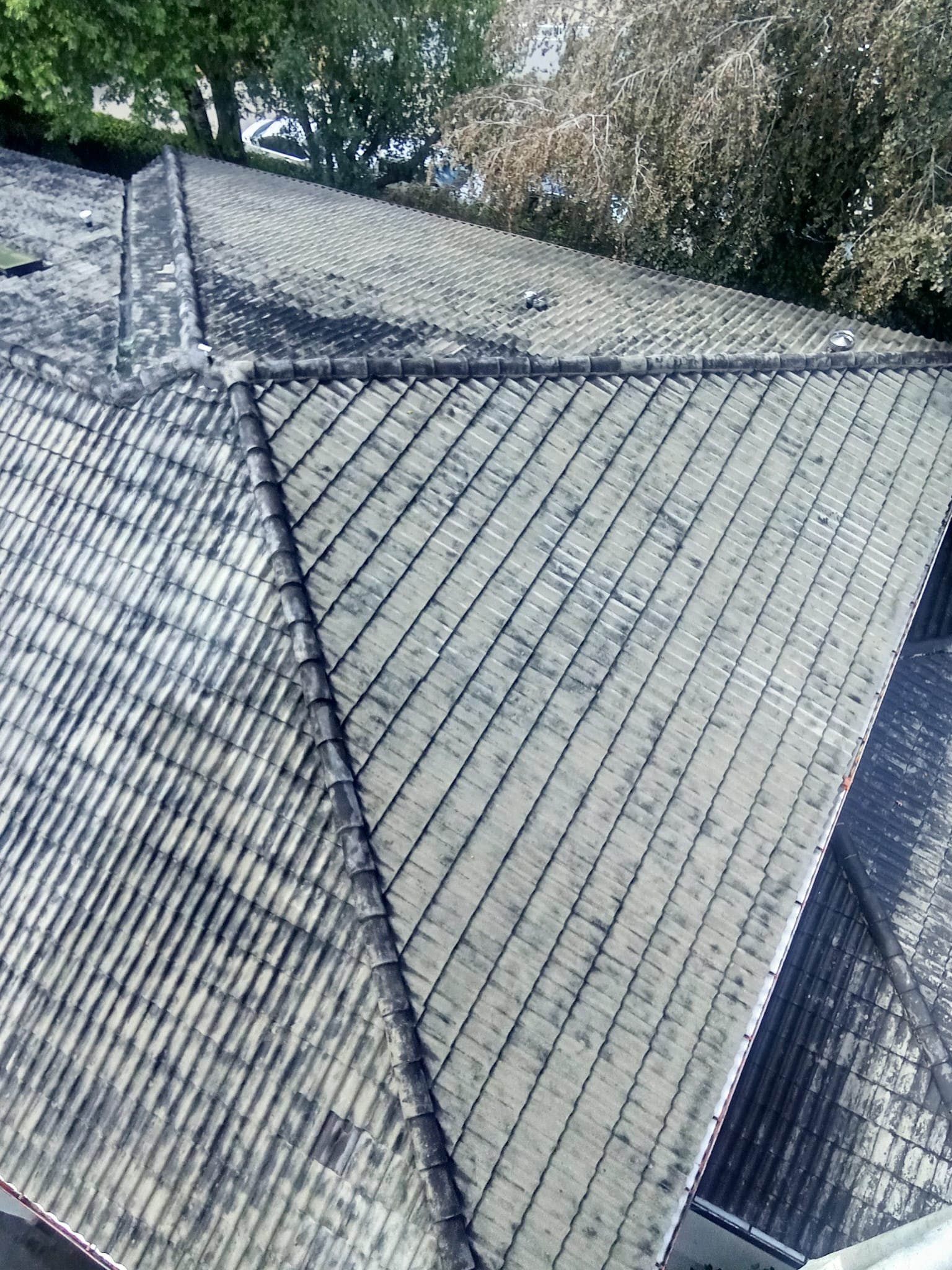Vista geral do telhado de betão no Porto depois da lavagem com SoftWash